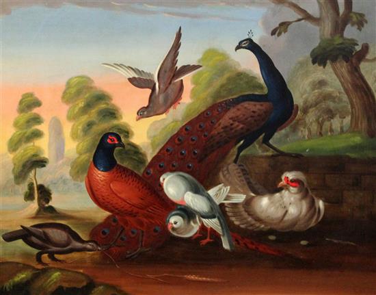 After Hondecoeter Birds in a landscape, 15 x 19in.